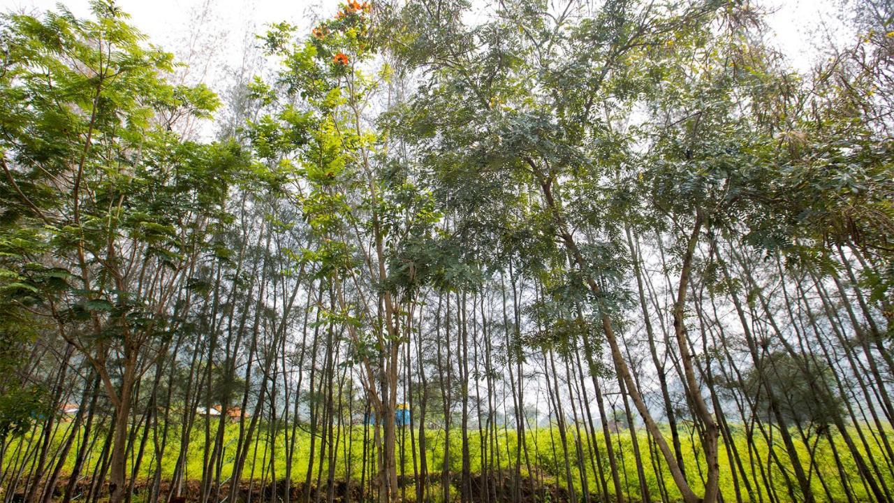 Aara Jungle Resort Coimbatore Exterior photo